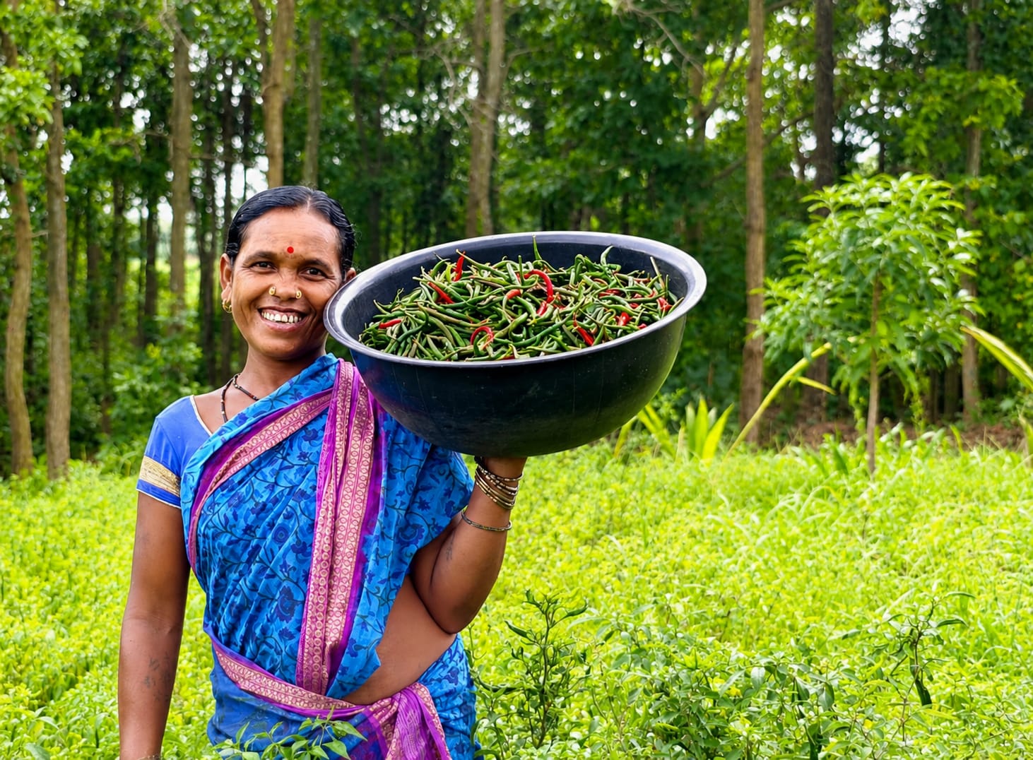 Agriculture and livelihood